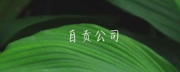 自贡公司