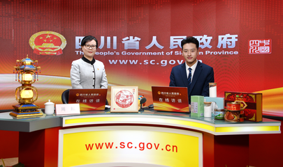  - 自贡市政府网站集约化平台