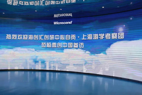 欢迎海创汇创研中心自贡 上海游学考察团莅临微创中国参访