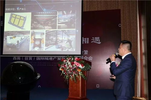 川南生态智慧石材产业园产品发布会暨西南 自贡 国际陆港产业投资环境推介会圆满完成