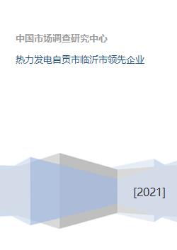 热力发电自贡市临沂市领先企业
