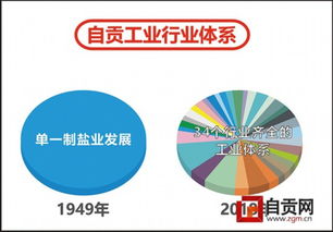 自贡 千年盐都的转型升级之路 四川省70周年成就展 自贡篇 一