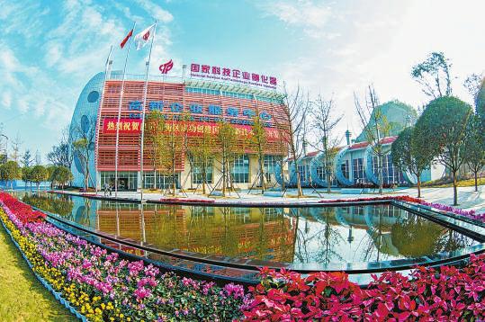 自贡以产业转型升级为突破口,推动区域振兴与企业网站建设