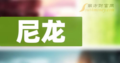 尼龙行业龙头自贡企业,2024年3月8日网站解析