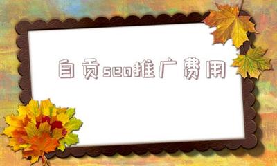 自贡seo推广费用(seo提高关键词排名)