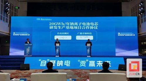 拥抱绿色未来 2024自贡钠电产业创新发展大会召开